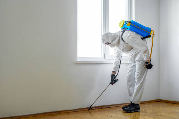 Best Pest Prevention Services  in Jefferson, OR