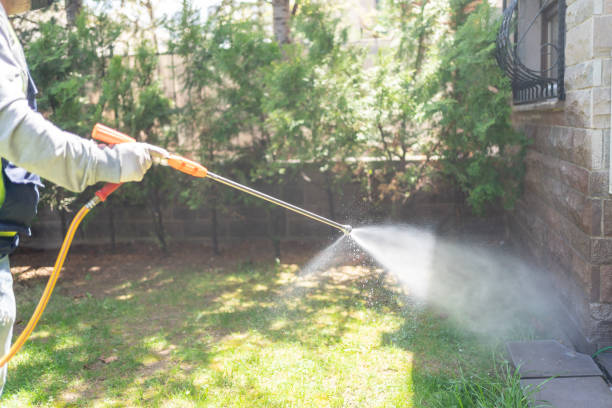 Best Mosquito Control Services  in Jefferson, OR